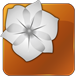 Adobe Creative Suite